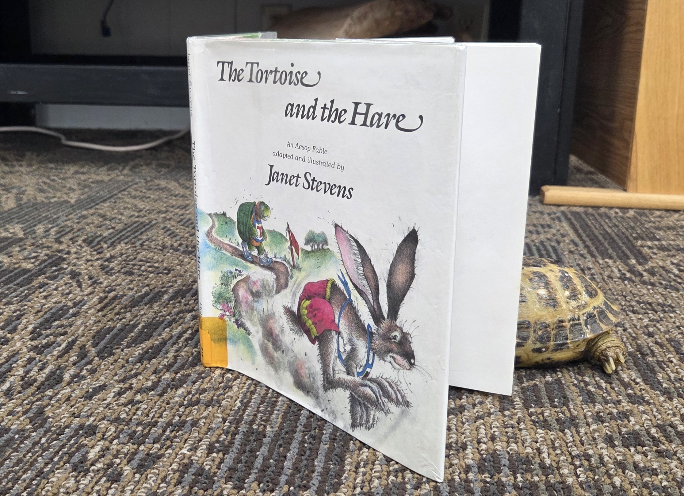 Slow Down and Read