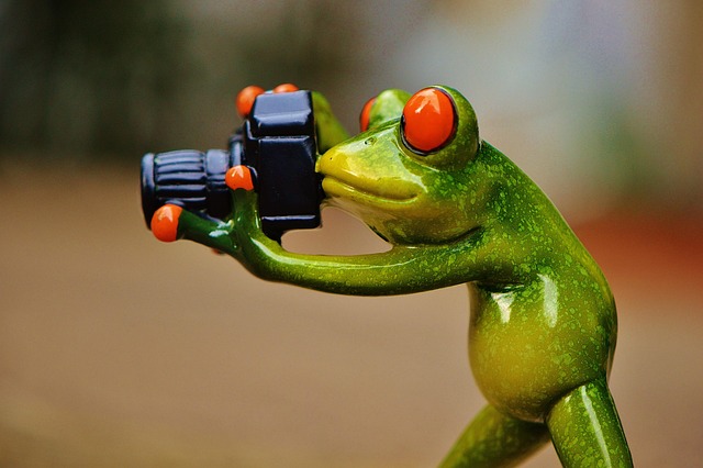 Photography Tips & Tricks: Taking and Editing Photos